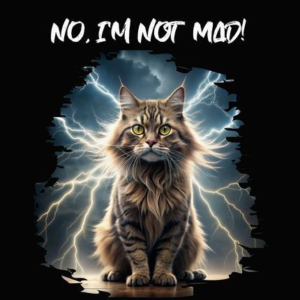 Collection image for: Funny Tees