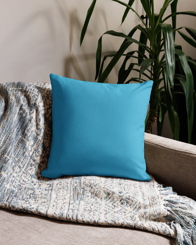 Oregon Ocean Beach - Premium Pillow