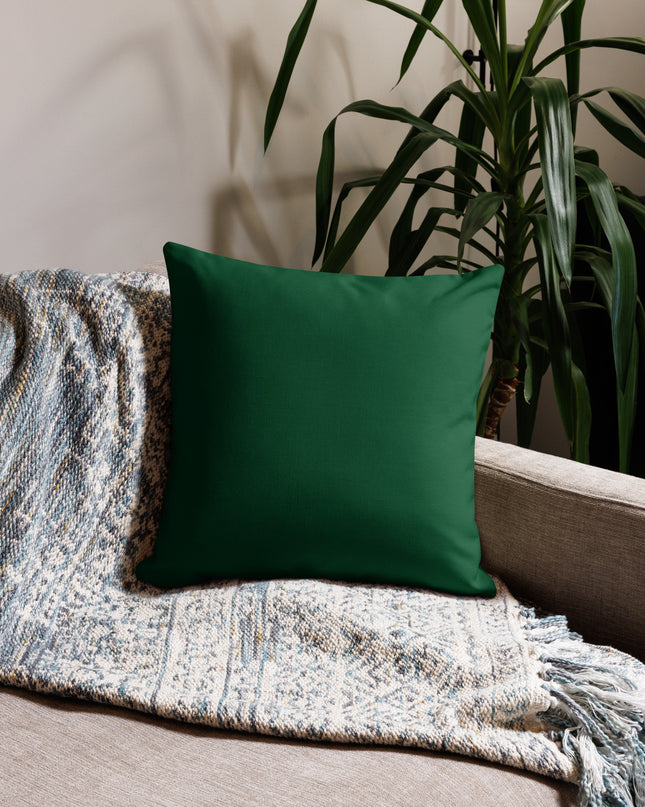Oregon Waterfalls - Premium Pillow
