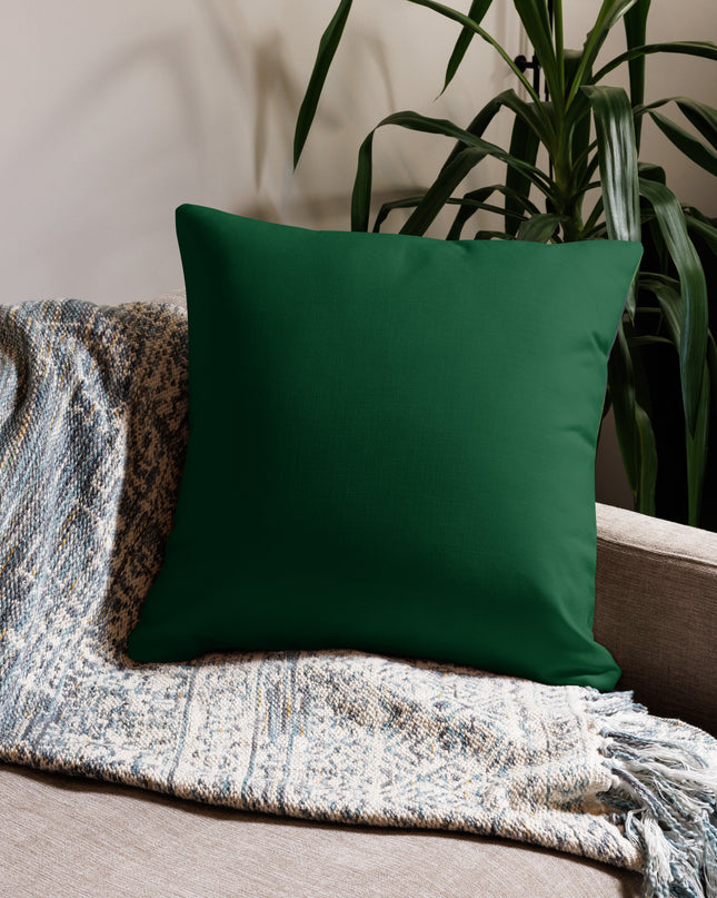 Oregon Waterfalls - Premium Pillow