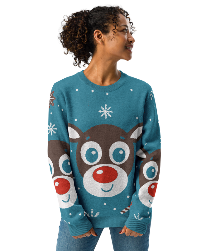 RUDOLPH - CHRISTMAS - Knitted crew neck sweater