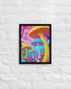 Black / 11″×14″