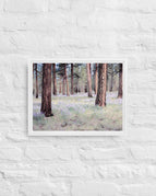 White / 12″×16″