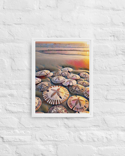 Oregon Sand Dollars - Digital Art -Framed canvas - FREE SHIPPING