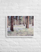 White / 18″×24″
