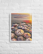 White / 18″×24″