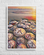 White / 24″×36″