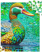 520 pieces