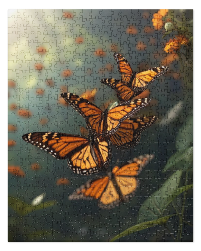 Butterflies - Jigsaw puzzle - 520 Pieces