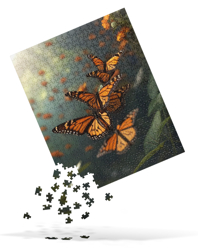 Butterflies - Jigsaw puzzle - 520 Pieces