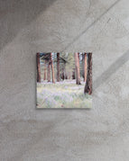 12″×12″